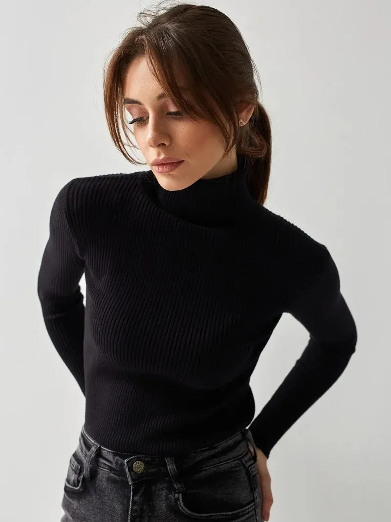 Advbridge aspen outfit winter Slimline Turtleneck Knitted Top