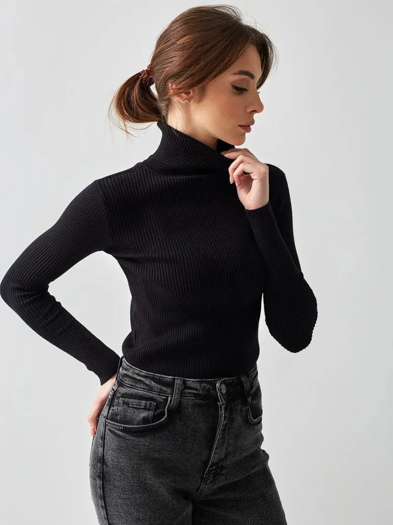 Advbridge aspen outfit winter Slimline Turtleneck Knitted Top