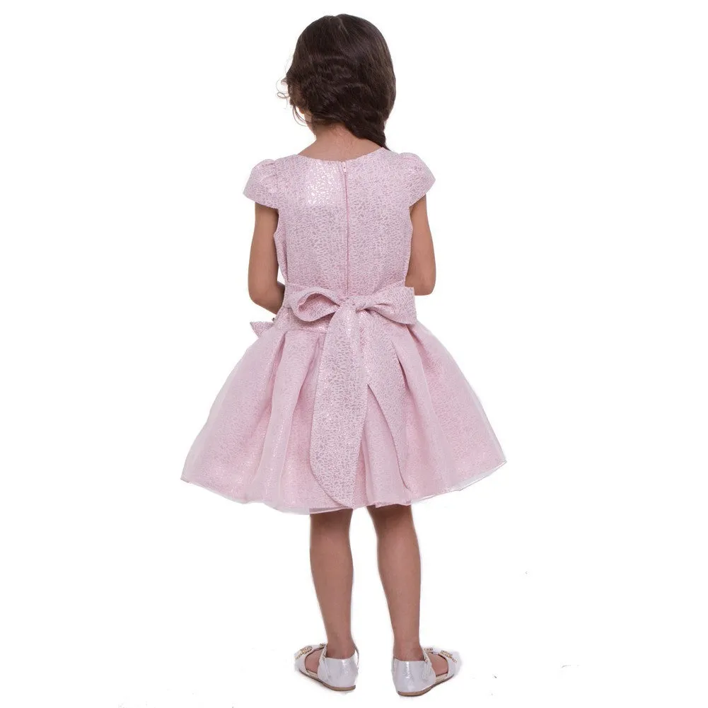 Big Girls Blush Organza Overlay Pleated Flower Girl Dress 8-12