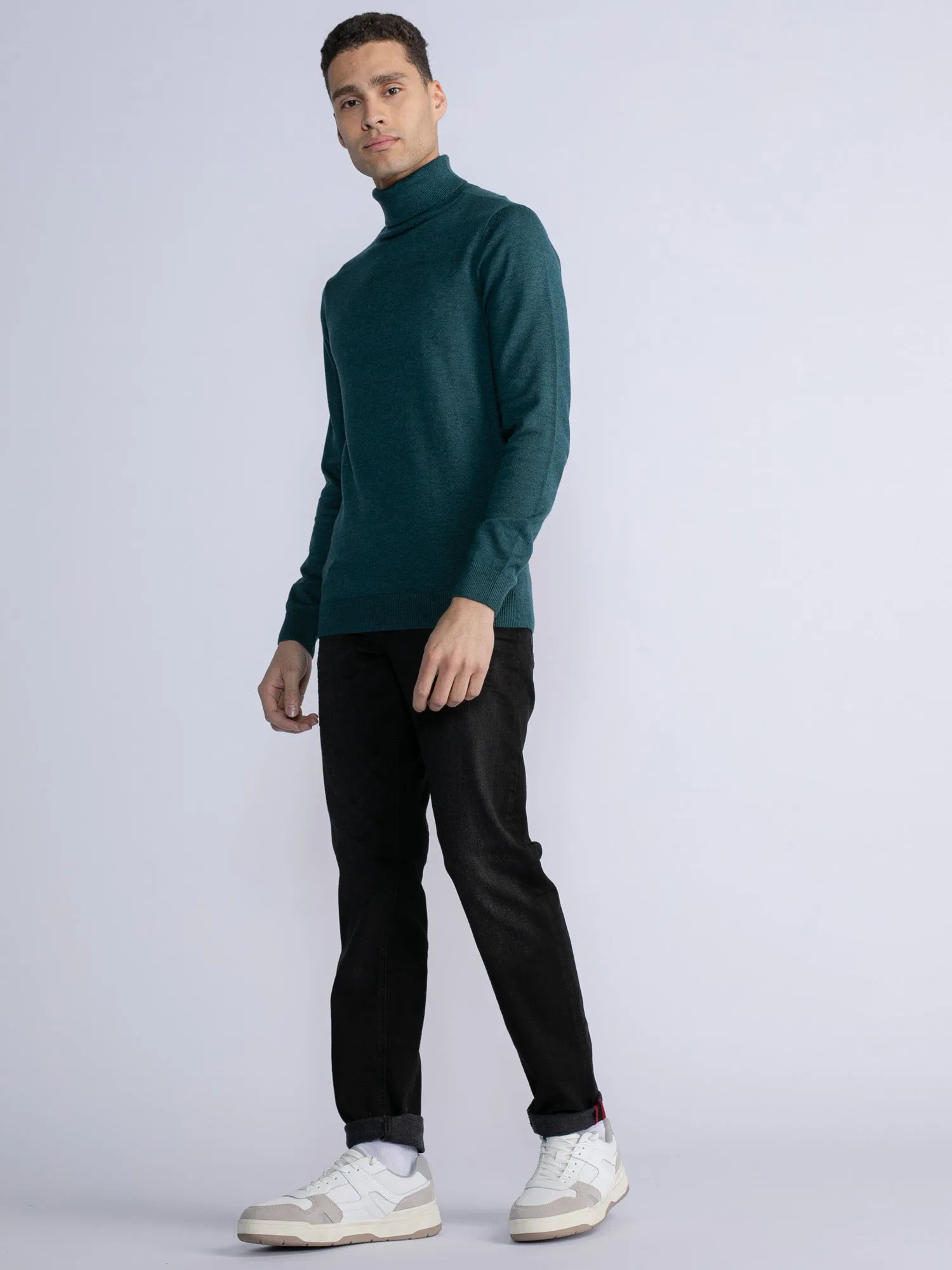 Fine-knit turtleneck Rhinelander