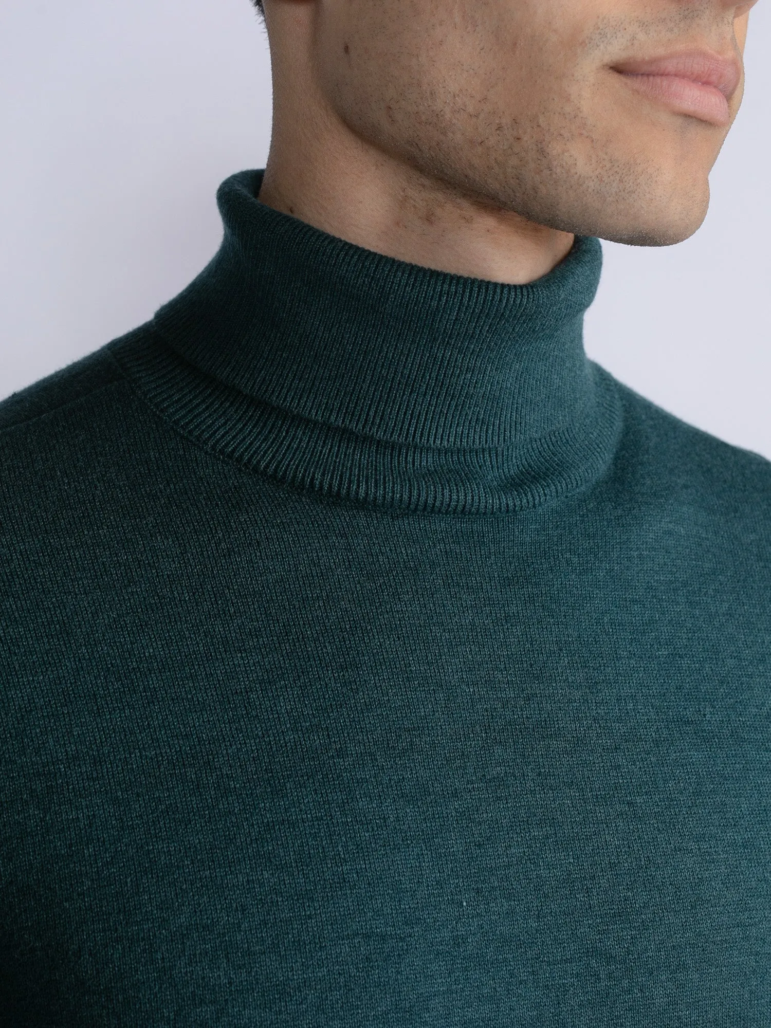 Fine-knit turtleneck Rhinelander