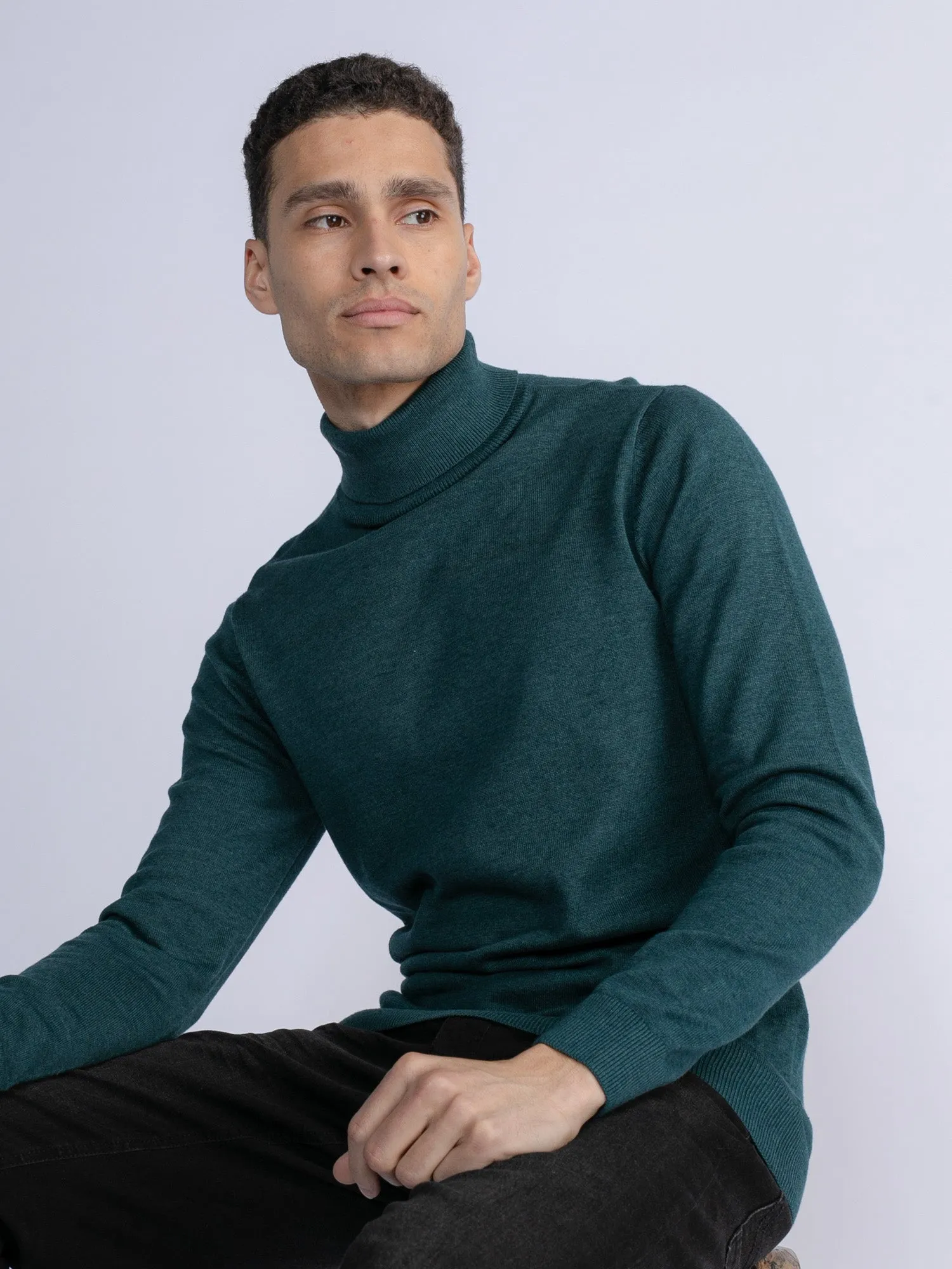 Fine-knit turtleneck Rhinelander