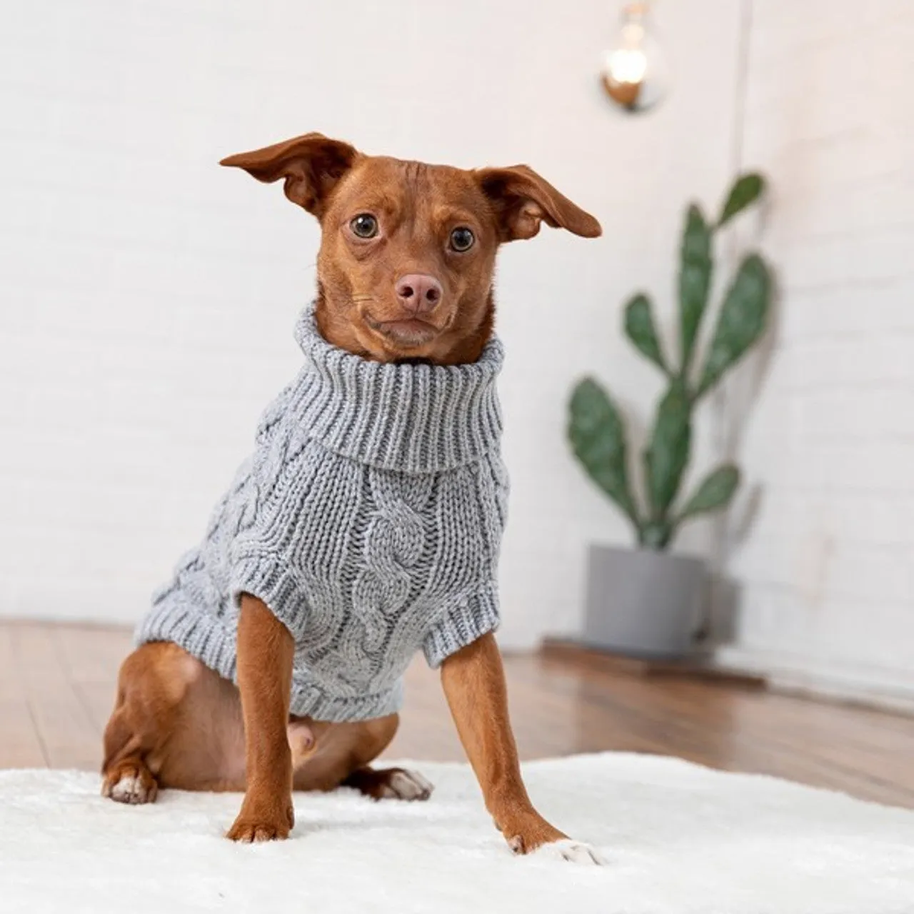 GF Pet Chalet Sweater Grey