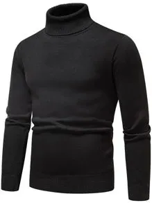 Homme  Solid Turtleneck Thermal Lined Sweater