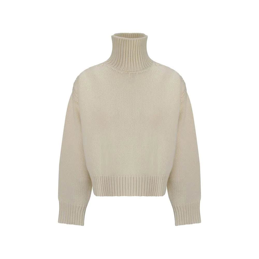 SA SU PHI Turtleneck Sweater