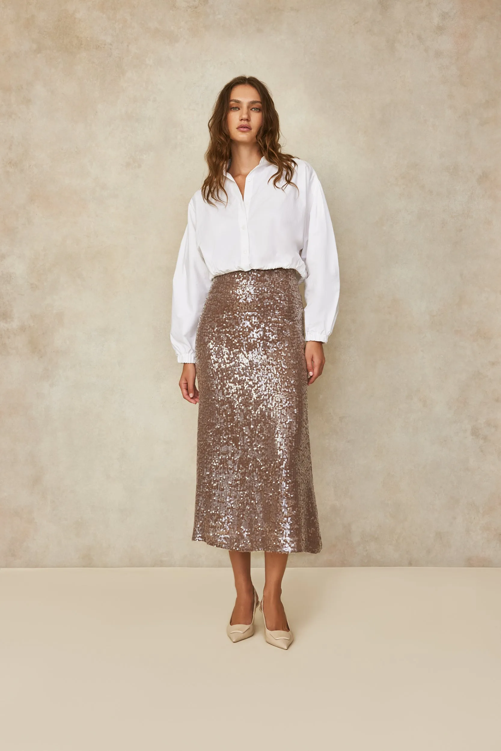 Sequin Skirt