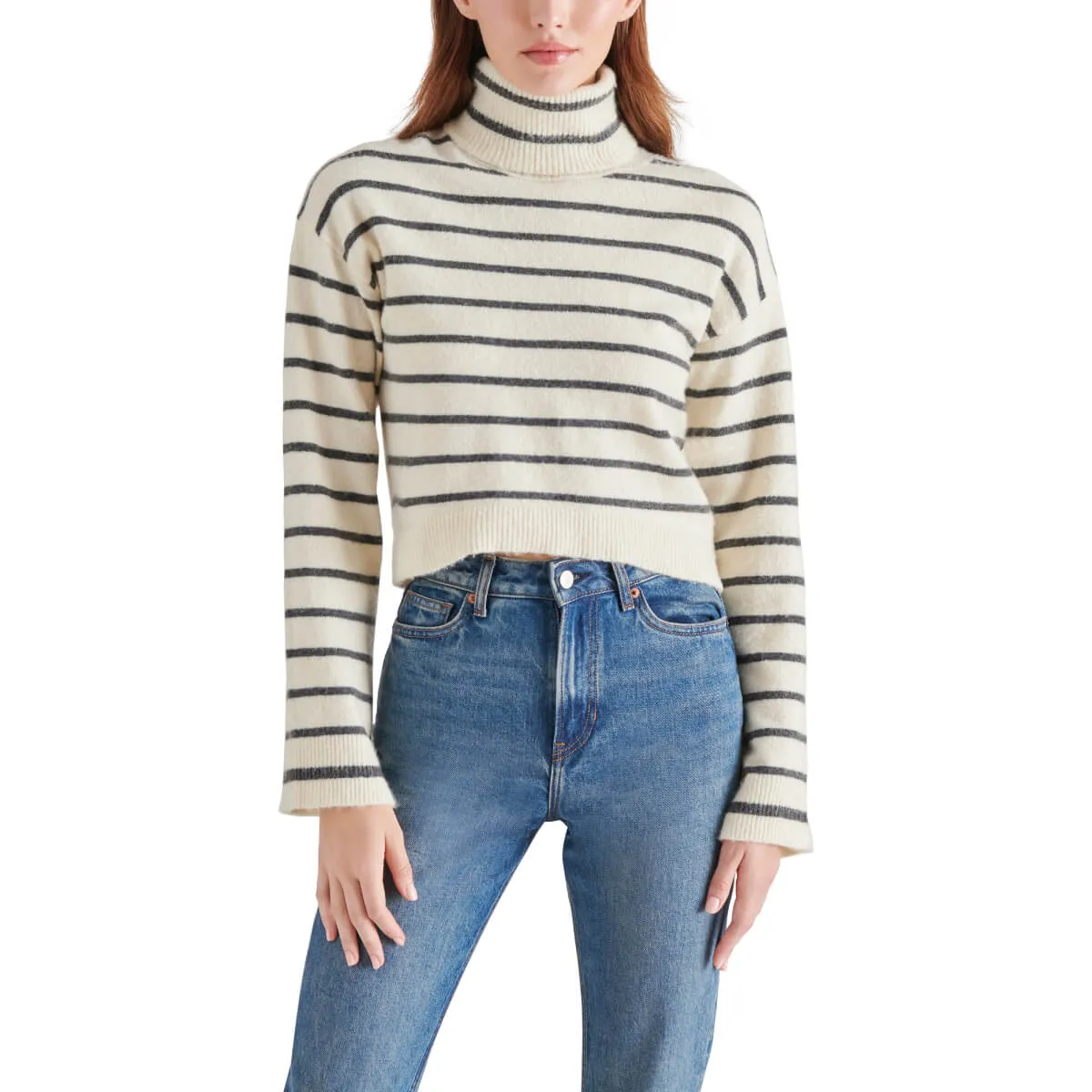 Steve Madden Narsha Striped Turtleneck Long Sleeve Sweater