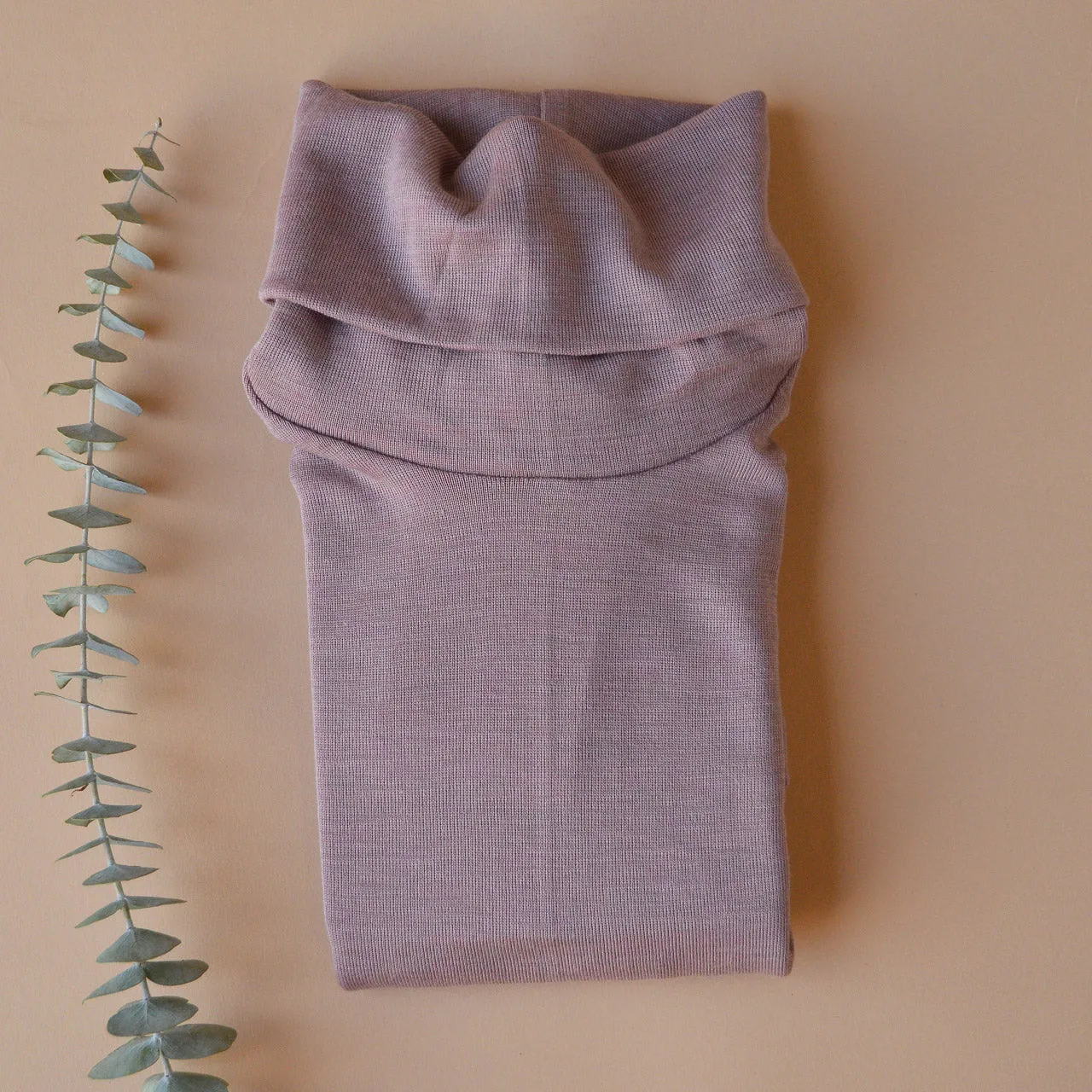 Women's Turtleneck Long Sleeve Top in Organic Merino/Silk